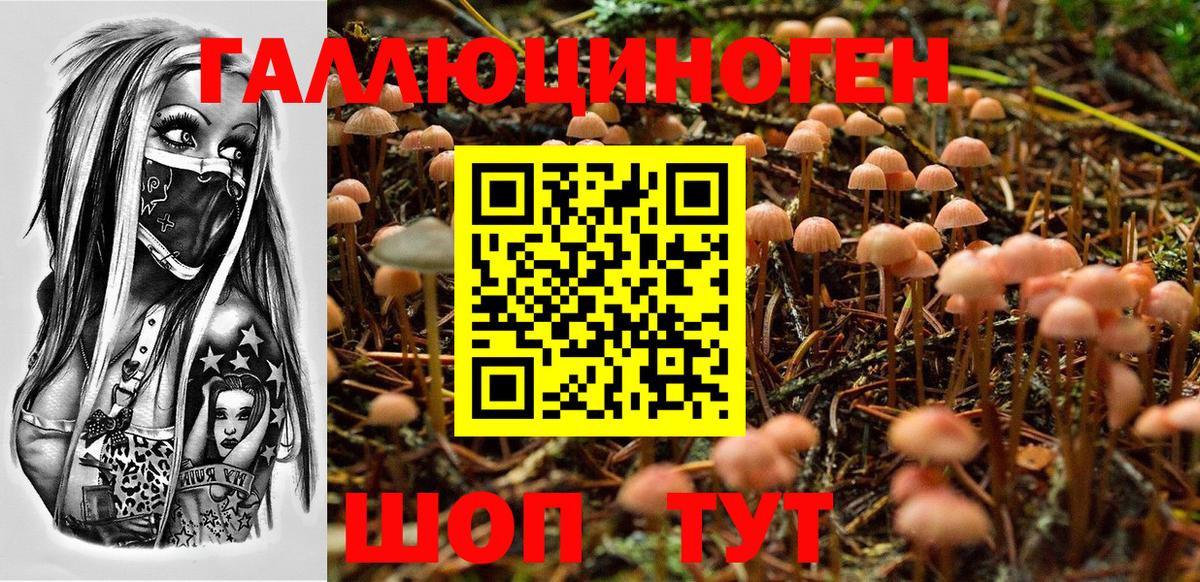 Юрга  Псилоцибиновые грибы прущие грибы  Вход с VPN  Галлюциногенные грибы прущие грибы 